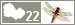 Odonates 22