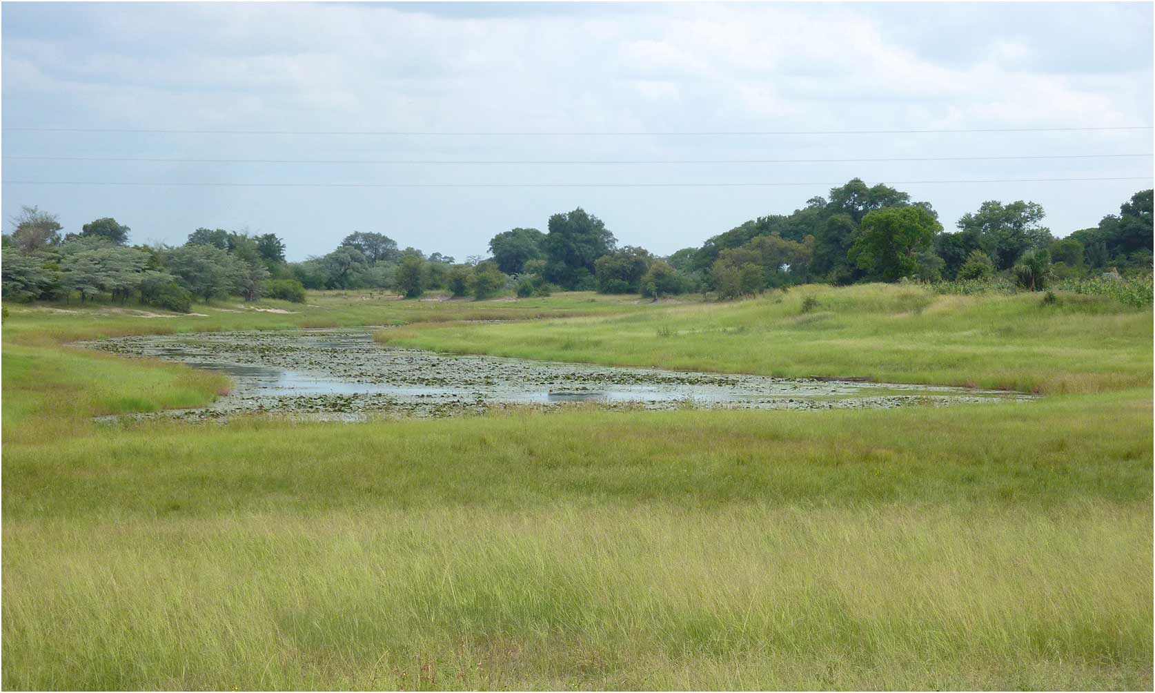 Namibie, Kalambesa, est de Katima Mulilo, 14/02/2020
