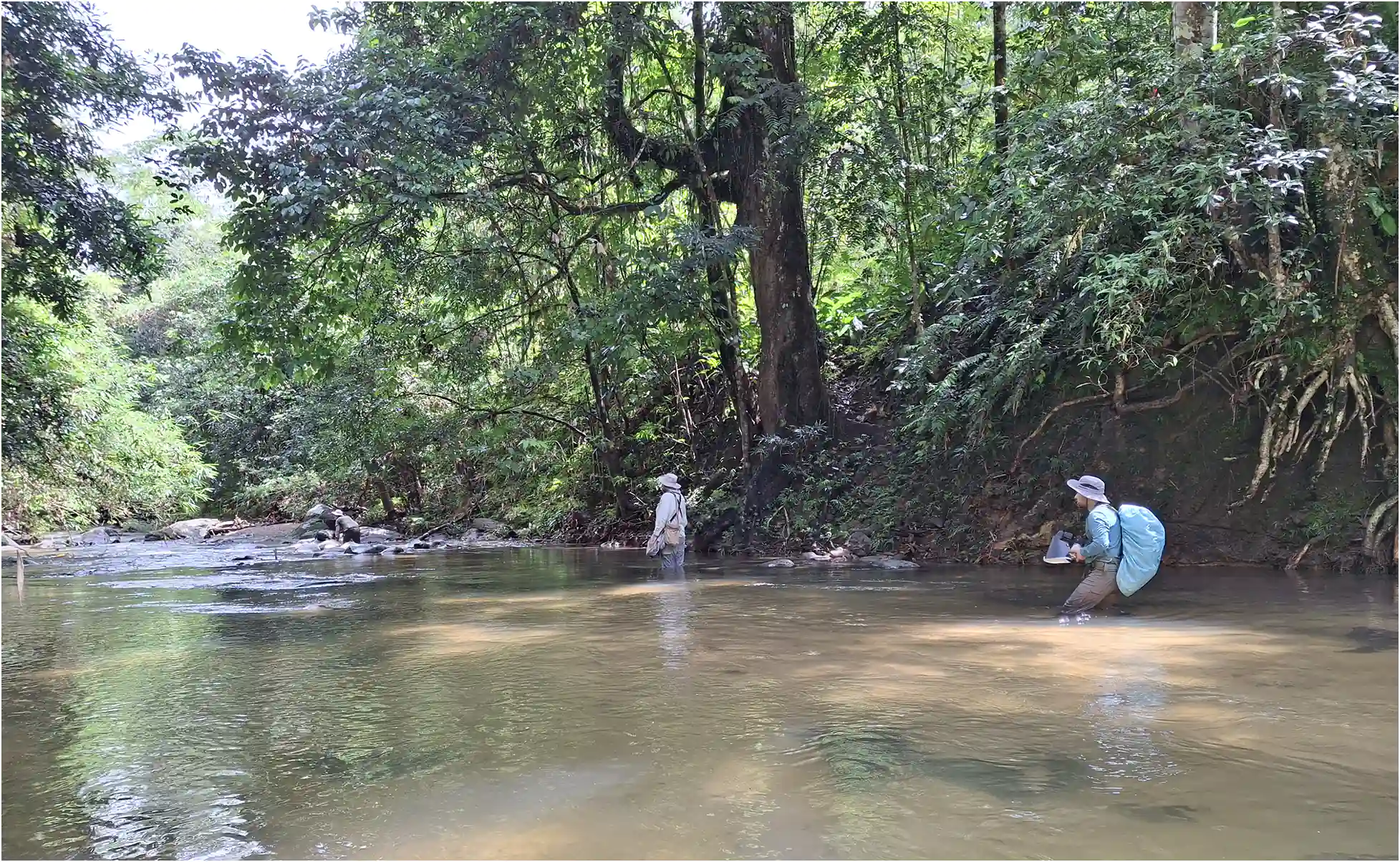 Annah Rais Hot Spring, Timuoh River, Sarawak, 24/03/2025