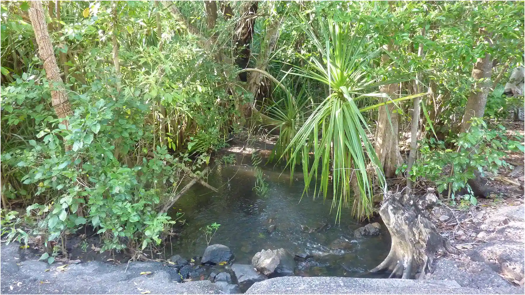Biotope Coomalie Creek, Australie (NT), 17/04/2022