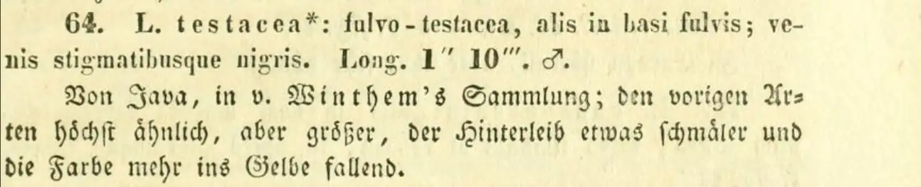 Burmeister, 1839 - Handbuch der Entomologie (Vol. 2)
