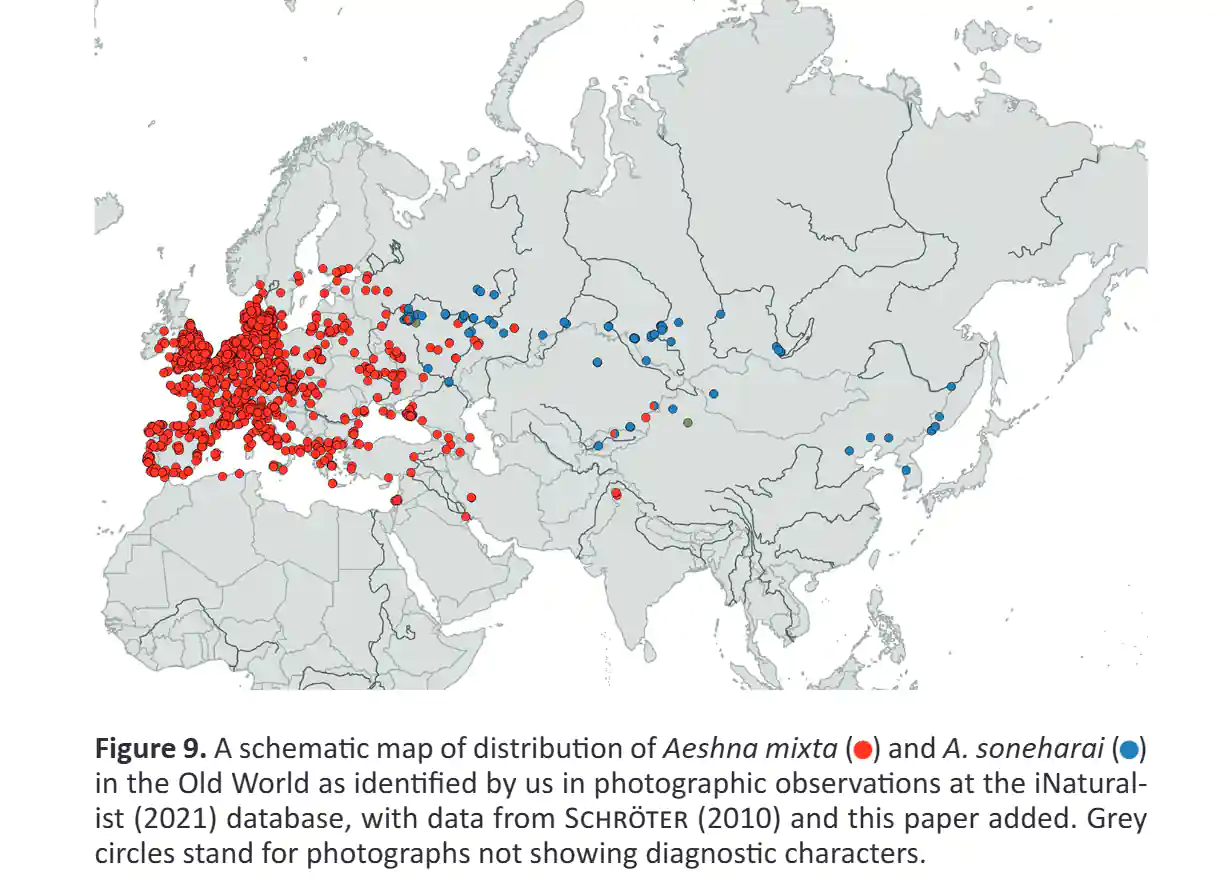 Carte distribution A. mixta et soneharai, Onishko et al., 2022