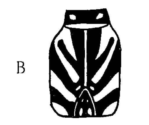 C. radix mâle, Longfield, 1959