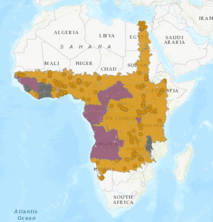 Carte de distribution de Pseudagrion nubicum, IUCN, https://www.iucnredlist.org/species/60028/85433445