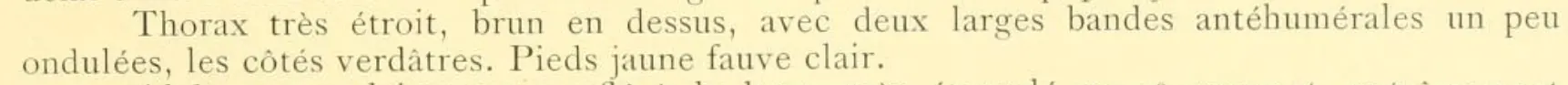 Martin, R. (1908) Aeschnines. Collections Zoologiques du Baron Edm. de Selys Longchamps, Catalogue Systématique et descriptif, 18, 1–84