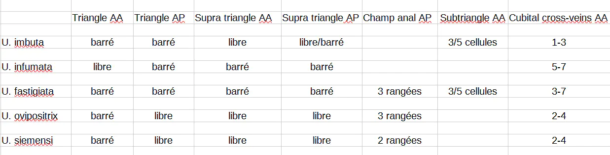 Récapitulatif alaire genre Uracis