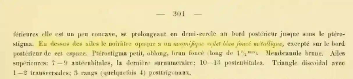 Description de Selys dans "Odonates de la région de la Nouvelle Guinée"