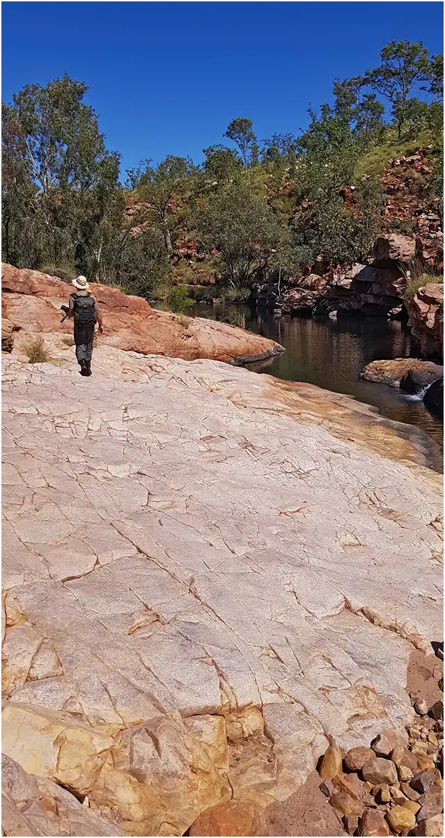 Biotope de Austroepigomphus turneri, Australie Occidentale, Zebedee Springs, Amalia Gorge, 25/04/2022
